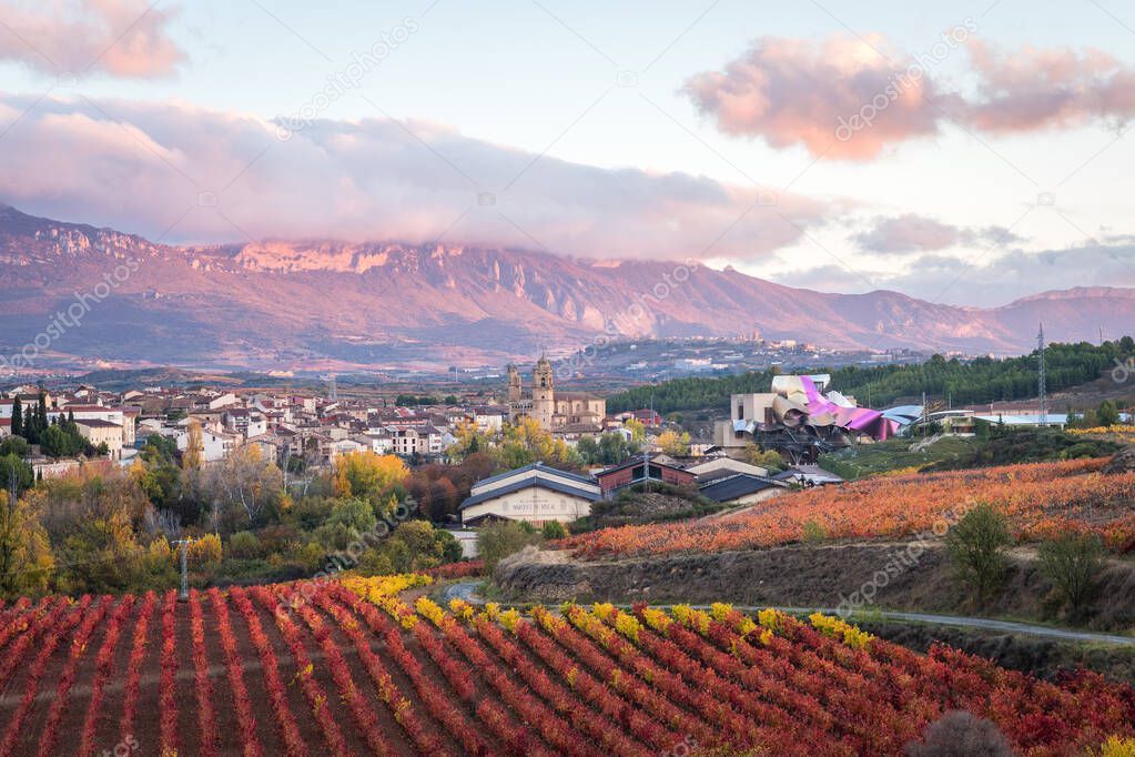 countryside view of famous winery in la rioja, Spain