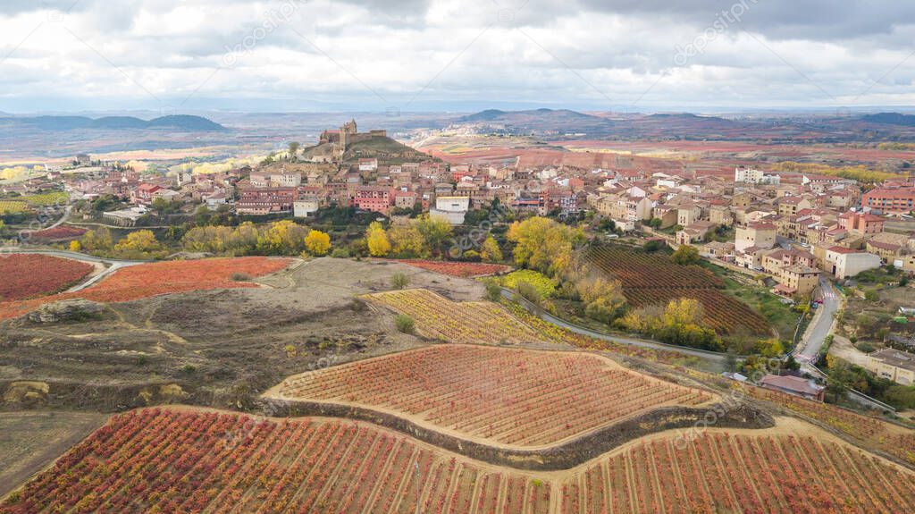autumn landscape in vineyards fields of la rioja, Spain