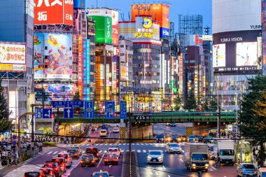 Tokyo, Japonya 'ya. 13 Ağustos 2018 Tokyo, Japonya 'nın inanılmaz caddeleri.