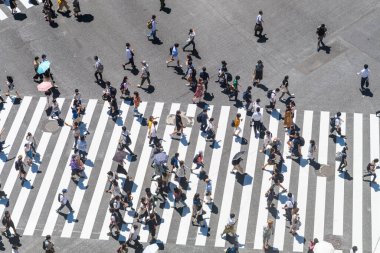 Tokyo, Japonya 'ya. 14 Ağustos 2018: Yayalar ünlü kalabalık Shibuya yaya geçidini geçiyor. 