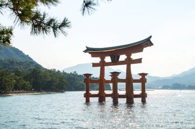Japonya 'da yüzen torii Miyajima' ya inanılmaz gün batımı manzarası