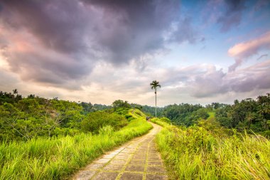 Ubud, Endonezya 'da Campuhan Tepesi yürüyüşü