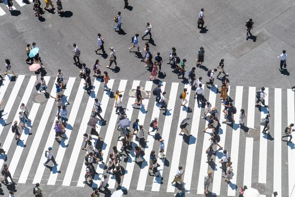 Tokyo, Japonya 'ya. 14 Ağustos 2018: Yayalar ünlü kalabalık Shibuya yaya geçidini geçiyor. 