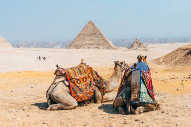Kahire, Mısır 'daki giza piramitlerinin inanılmaz manzarası