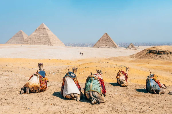 Kahire Mısır Daki Giza Piramitlerinin Inanılmaz Manzarası — Stok fotoğraf