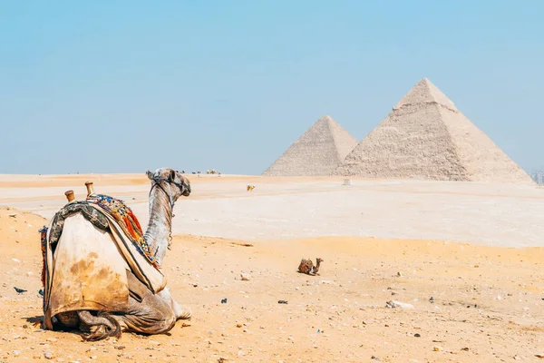 Kahire Mısır Daki Giza Piramitlerinin Inanılmaz Manzarası — Stok fotoğraf