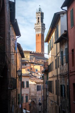 Siena, İtalya 'daki Mangia Kulesi manzarası