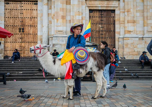 Bogota Colombia 5Th August 2022 Unidentified People Showing Alpacas Bolivar — Stockfoto