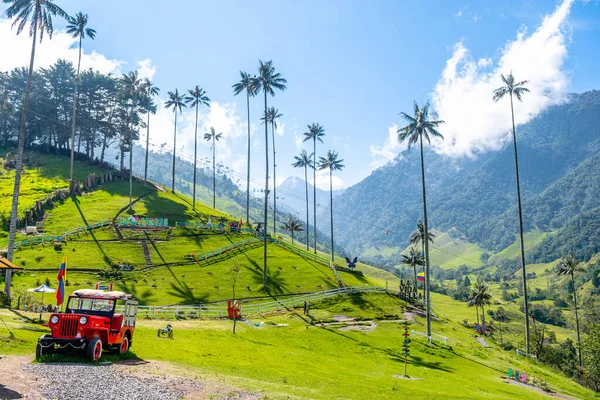 Views Cocora Valley Its Tall Palm Trees Image En Vente