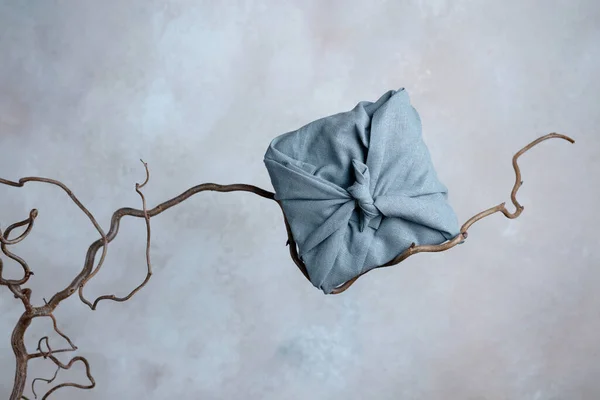 A furoshiki wrapped box on tree branch in front of the wall, sustainable packaging concept Stock Picture