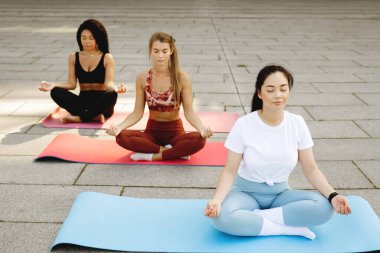 Birlikte yoga yapan üç güzel genç kadın..