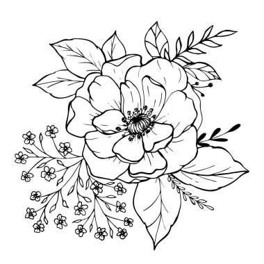 Çiçek ve yaprak dalları. Grafik vektörü çizimi elle çizilmiş. Bahar bitkileri.