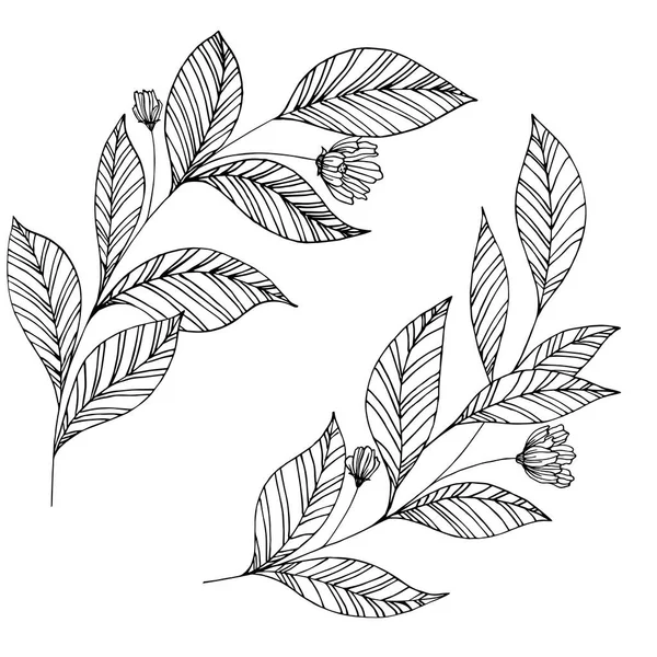 Ручной Рисунок Листьев Цветов Черный Дудл — стоковый вектор