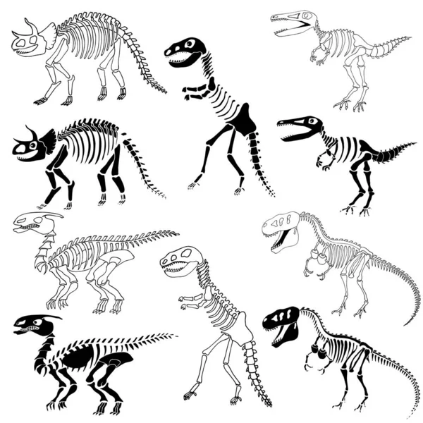 Esqueletos Dinosaurios Listos Siluetas Huesos Dinosaurio Objetos Aislados — Vector de stock