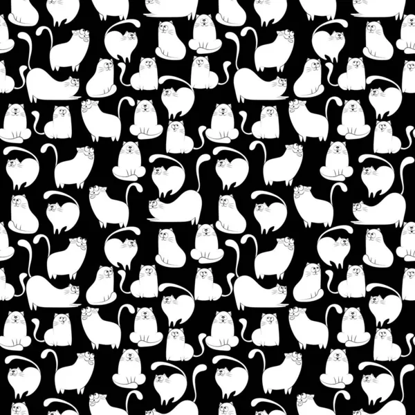 Siyah arka planı olan kusursuz komik kediler..