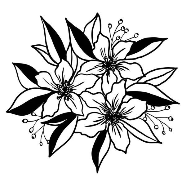 Vektör Çiçekli Botanik Çiçekleri Siyah Beyaz Işlemeli Mürekkep Sanatı — Stok Vektör