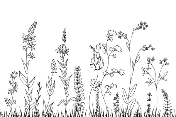 Flores Prado Desenhadas Mão Ervas Isoladas Branco Ilustração Vetorial Estilo — Vetor de Stock