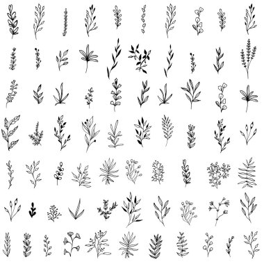 Eskiz stili yaprak ve dalları ayarlayın. Güzel siyah dallar ve yapraklar