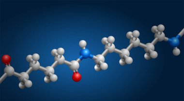 Naylon 3D yapı, Amide bağlantılarının tekrarı