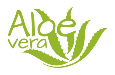 Aloe Vera - Yaprak metinle birleştiriliyor