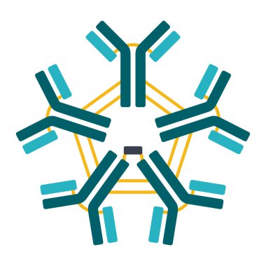 Antikorun pentamerik IgM şeması