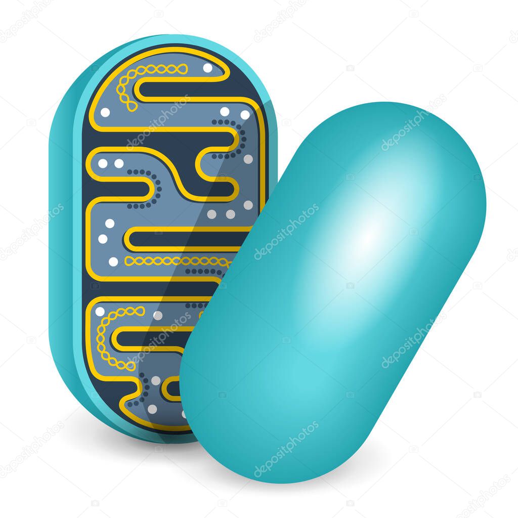 Mitochondria slice cut in half icon