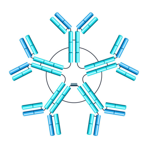 Pentameric IgM structure of antibody in 3D. Y-shaped immunoglobulin. Protein that used by the immune system to neutralize pathogens such as pathogenic bacteria and viruses - isolated illustration