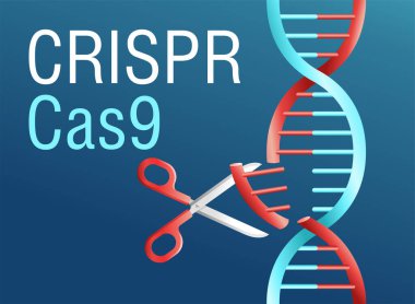 Crispr Cas9 illüstrasyon. Genetik mühendisliğinde gen mutasyonu araştırması. DNA modifikasyon vektörü kavramı