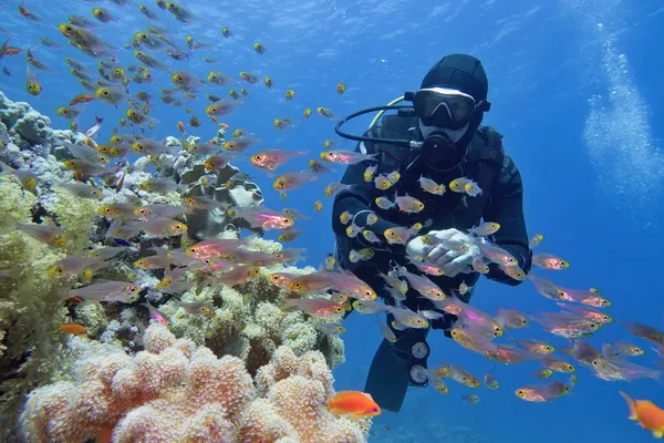 Uomo Subacqueo Vicino Alla Bellissima Barriera Corallina Circondata Banchi Pesci — Foto Stock