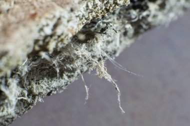 Çatıdaki malzemelerin asbest lifleriyle detaylı fotoğraflanması. Sağlık zararlı ve zararlı etkiler. Mikroskobik liflerin uzun süre solunması akciğer kanseri de dahil olmak üzere ölümcül hastalıklara yol açar.. 