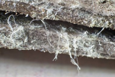 Detailed photography of roof covering material with asbestos fibres. Health harmful and hazards effects. Prolonged inhalation of microscopical fibers causes fatal illnesses including lung cancer.  clipart