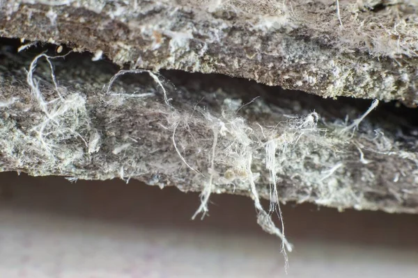 Fotografía Detallada Del Material Cubierta Del Techo Con Fibras Amianto —  Fotos de Stock