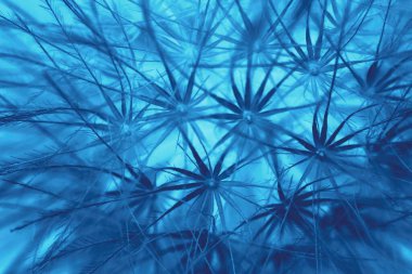 Soyut mavi çiçek kapat, negatif fotoğraf efekti