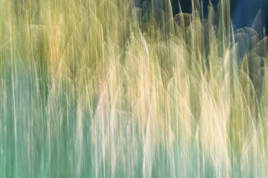 Soyut yeşil modern arka plan. Bulanık çizgiler, soyut doğa.