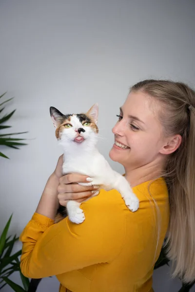 Young beautiful woman carrying cute cat on her arms — стоковое фото