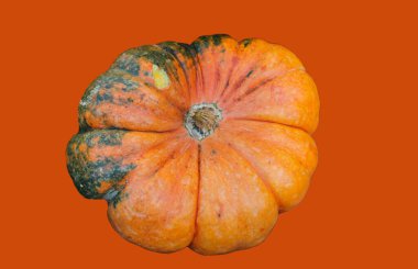 Turuncu arkaplanda izole edilmiş büyük balkabağı ön fotoğraf