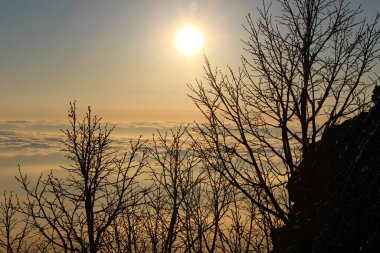 Ağaçların siluetleri turuncu bir zemin üzerinde bulutlar ve gökyüzü dağlarda, güneş doğarken disk şeklinde.