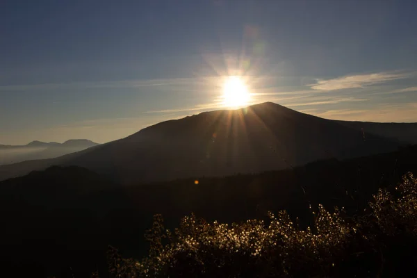 Dağlardaki günbatımının hava manzarası, arka plandaki kuru gövdeler, yapraklar ve meyveler.