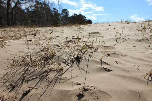 View Sand Dunes Coast Northern Region — Stock Photo, Image