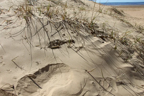 View Sand Dunes Coast Northern Region — Stock Photo, Image