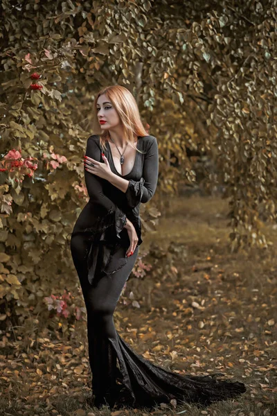 黒のドレスの魔女 ハロウィンのコンセプト パーティーのためのアイデア 暗いゴシック服の完璧な女性 — ストック写真