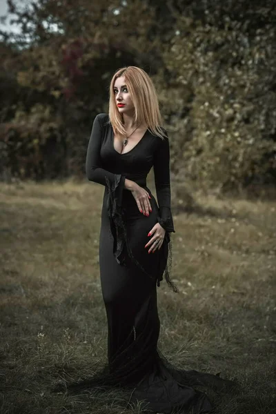Bruja Vestido Negro Concepto Halloween Ideas Para Fiesta Dama Perfecta — Foto de Stock