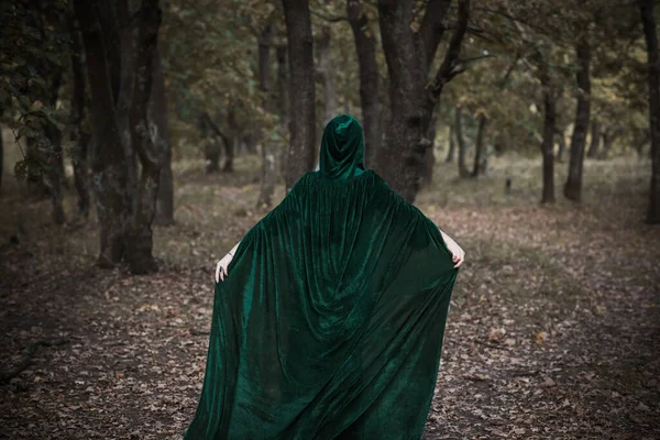 Foresta Mistica Oscura Idee Halloween Festa Abiti Donna Concetto Maghi — Foto Stock