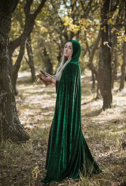 Floresta Mística Escura Ideias Halloween Para Festa Roupas Para Senhoras — Fotografia de Stock