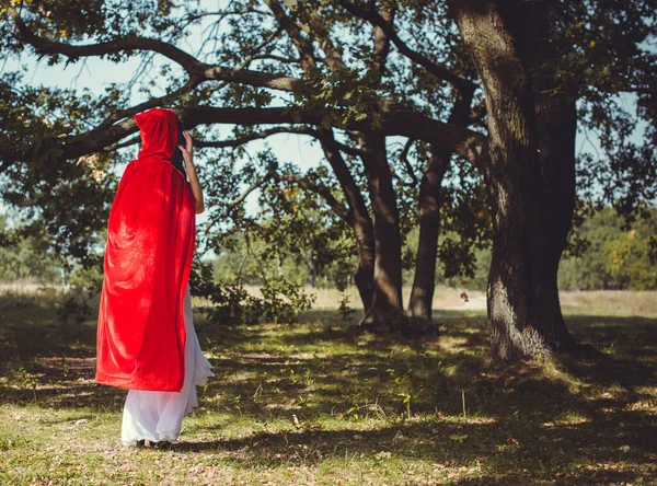 ハロウィンのコンセプト 華やかな衣装の詳細 森の中で若い美しいと神秘的な女性は 白いドレスと赤のクローク 小さな赤いフードや吸血鬼の物語 — ストック写真