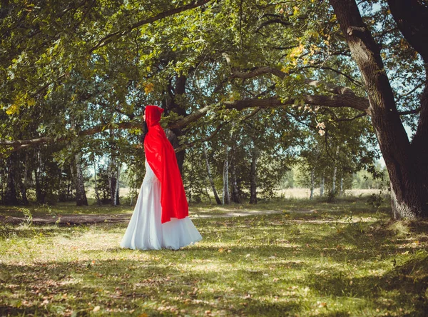 Cadılar Bayramı Konsepti Göz Alıcı Kostüm Ayrıntıları Ormanda Beyaz Elbiseli — Stok fotoğraf