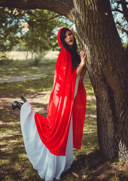 할로윈 아름답고 드레스와 뱀파이어 이야기 — 스톡 사진
