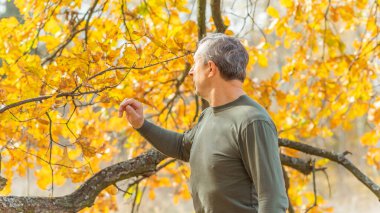 Doğada olgun Avrupalı yaşlı bir adam, sonbahar parkında felsefi bir portre,