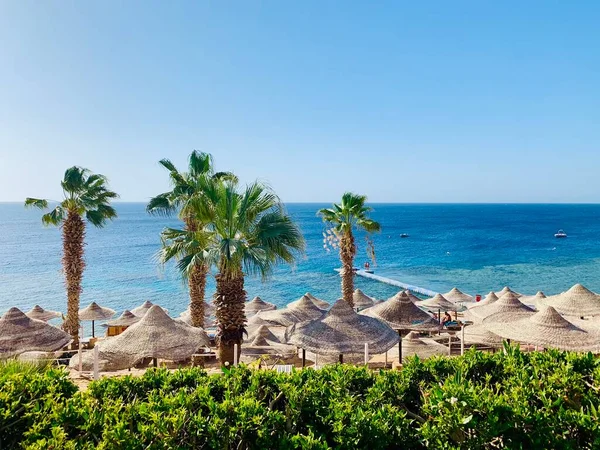 Conceito Turismo Detalhes Férias Egito Sharm Sheikh Bela Vista — Fotografia de Stock