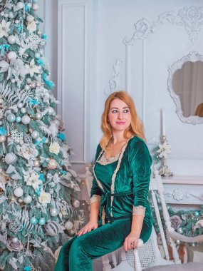 Noel zamanı hoş, genç, iri yarı, Avrupalı ya da Amerikalı bir bayan. Ev tatili için oldukça rahat bir ortam.